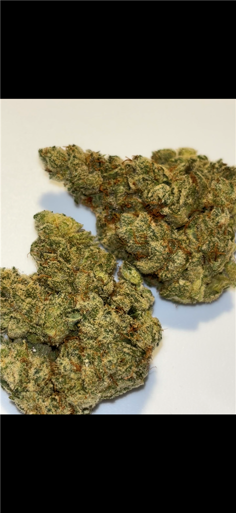 GG7